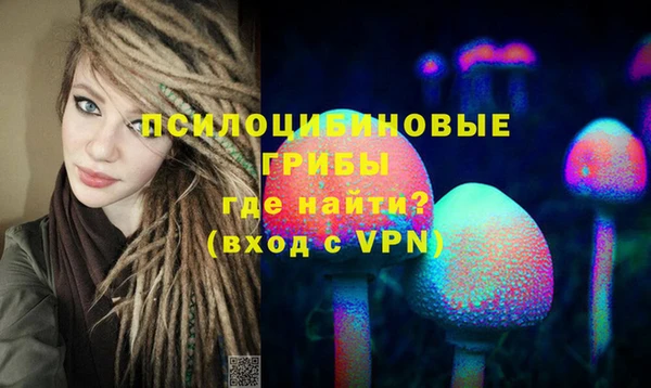 PSILOCYBIN Вязники