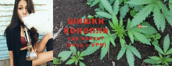 PSILOCYBIN Вязники